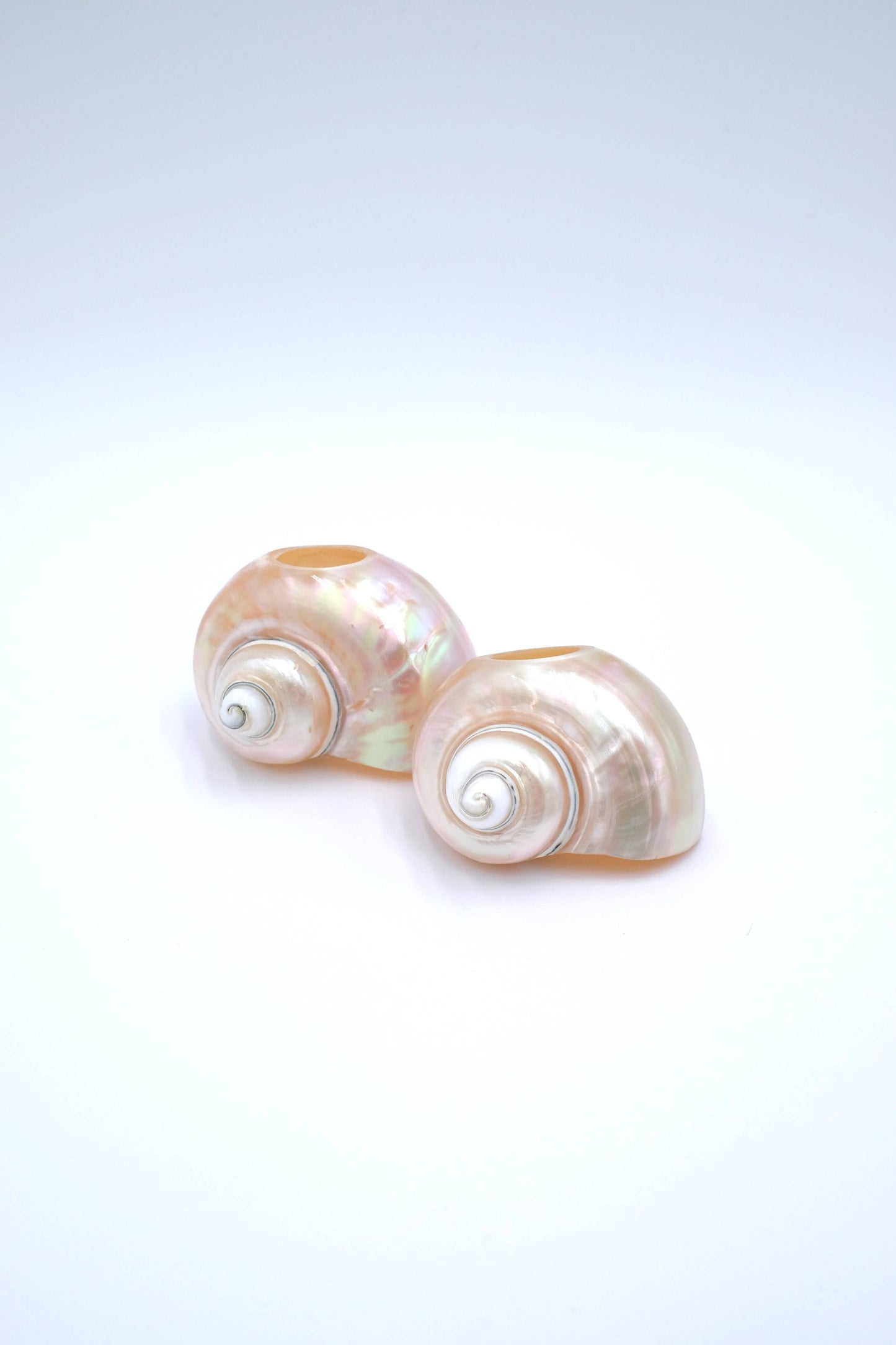 Seashell Napkin Rings