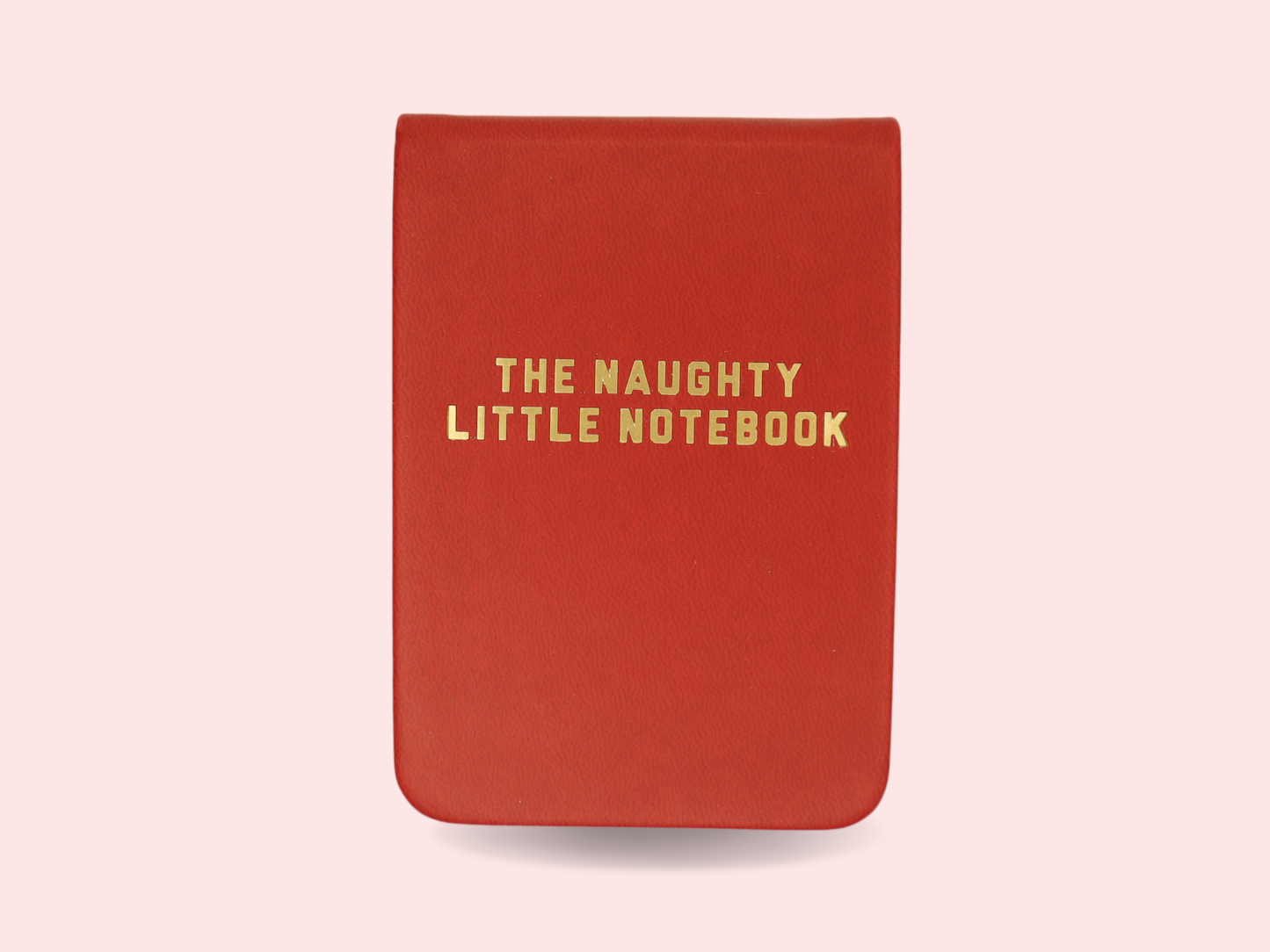 The Naughty Little Notebook - Leatherette Pocket Journal