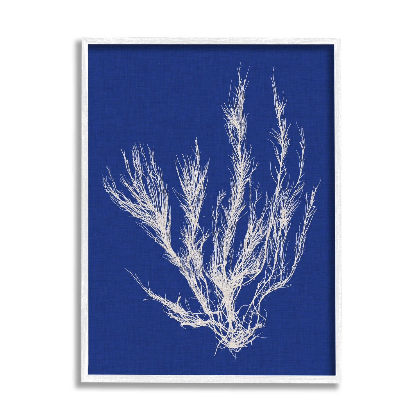 Coral Seaweed Blue White Beach Design Framed: Gray Framed