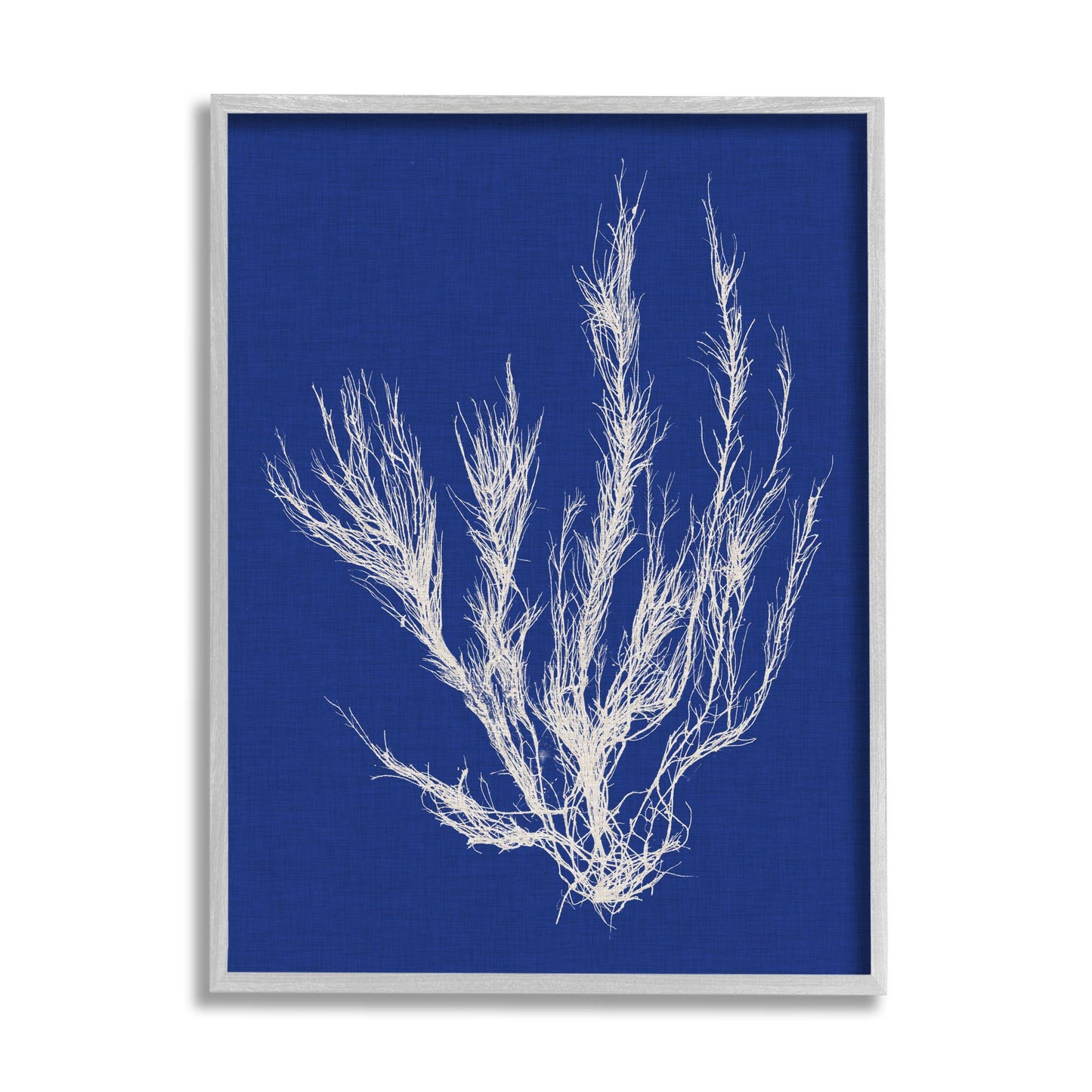 Coral Seaweed Blue White Beach Design Framed: Gray Framed