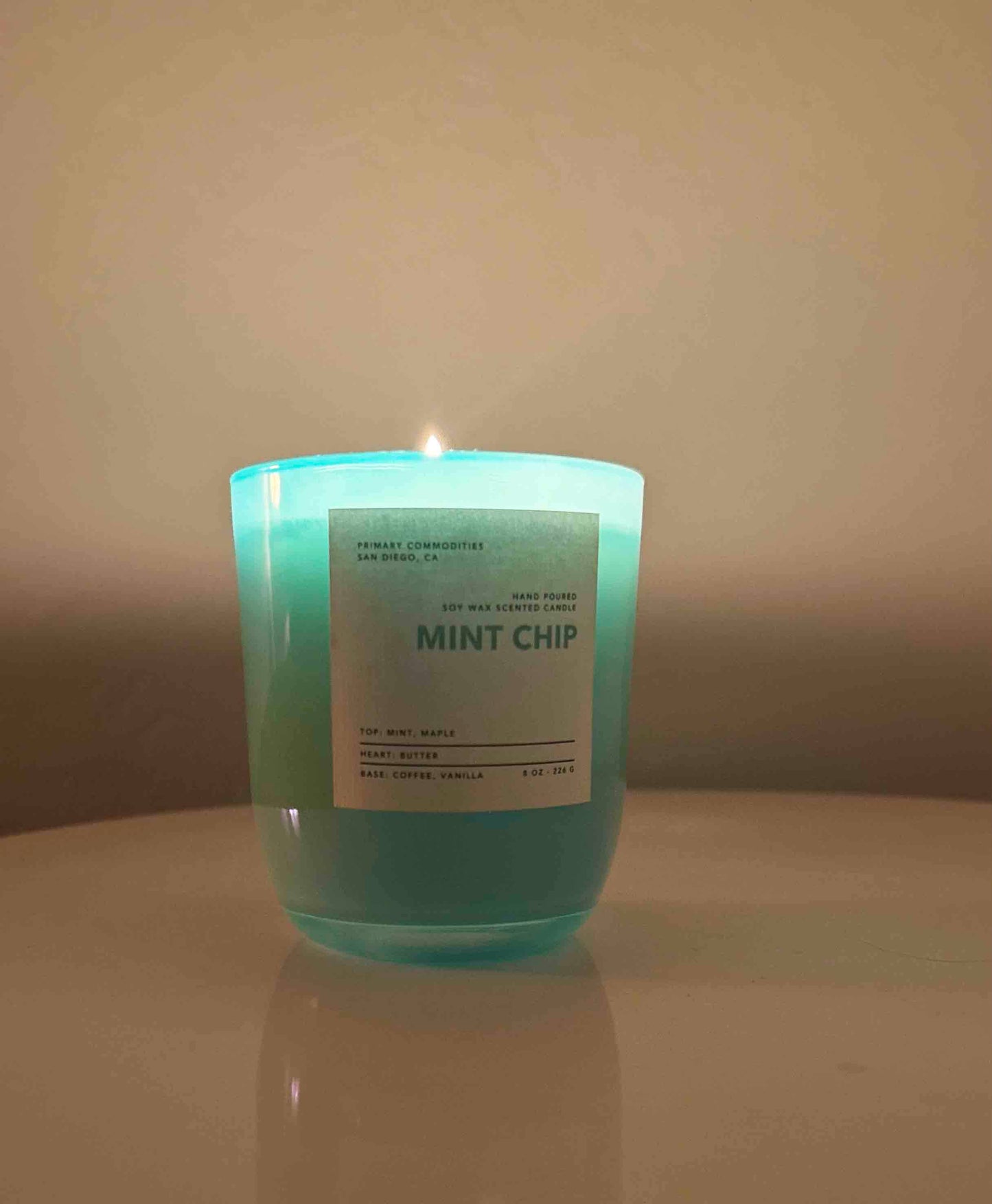 Mint Chip Scented Candle