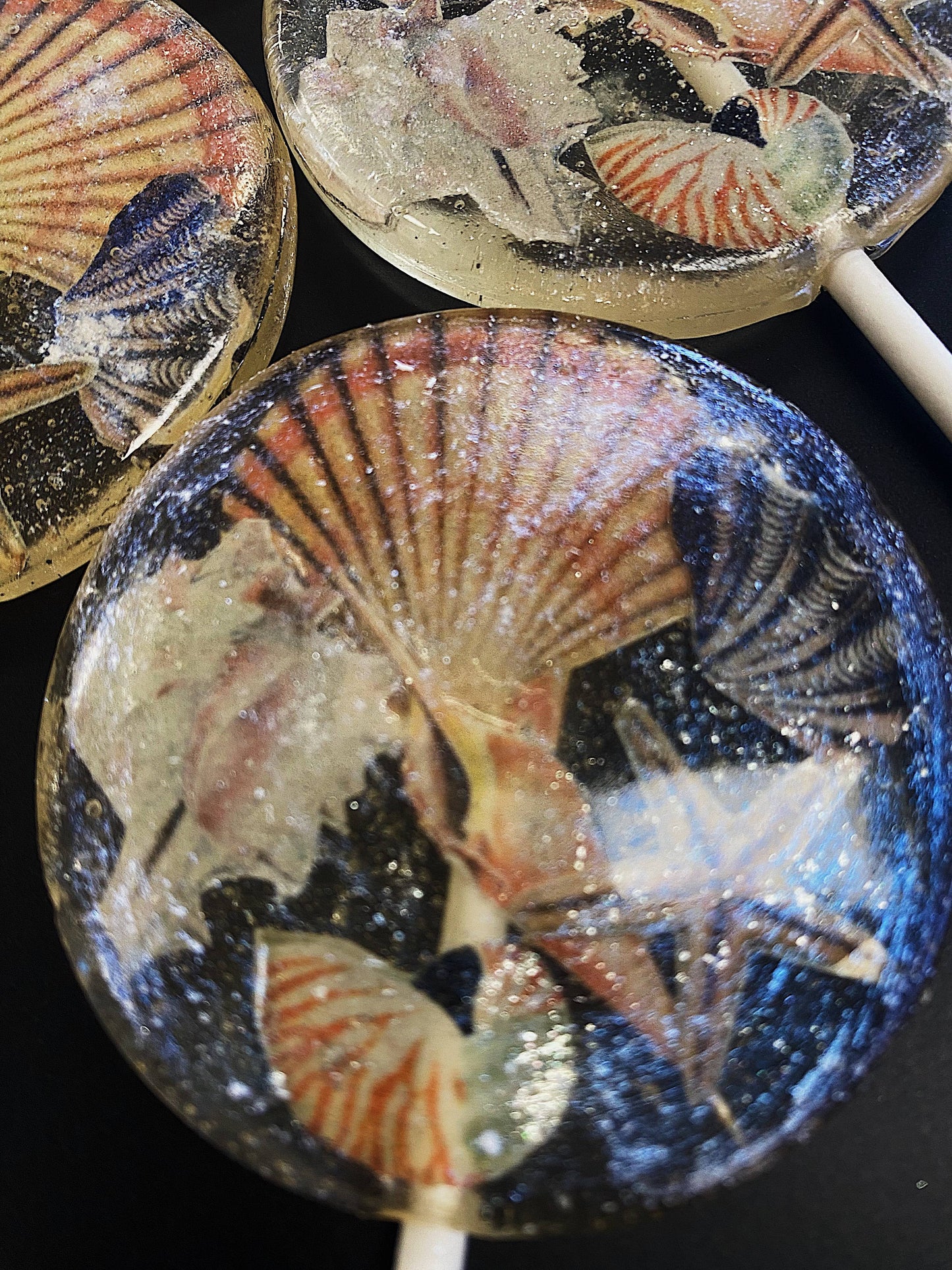 Summer Seashell Lollipops