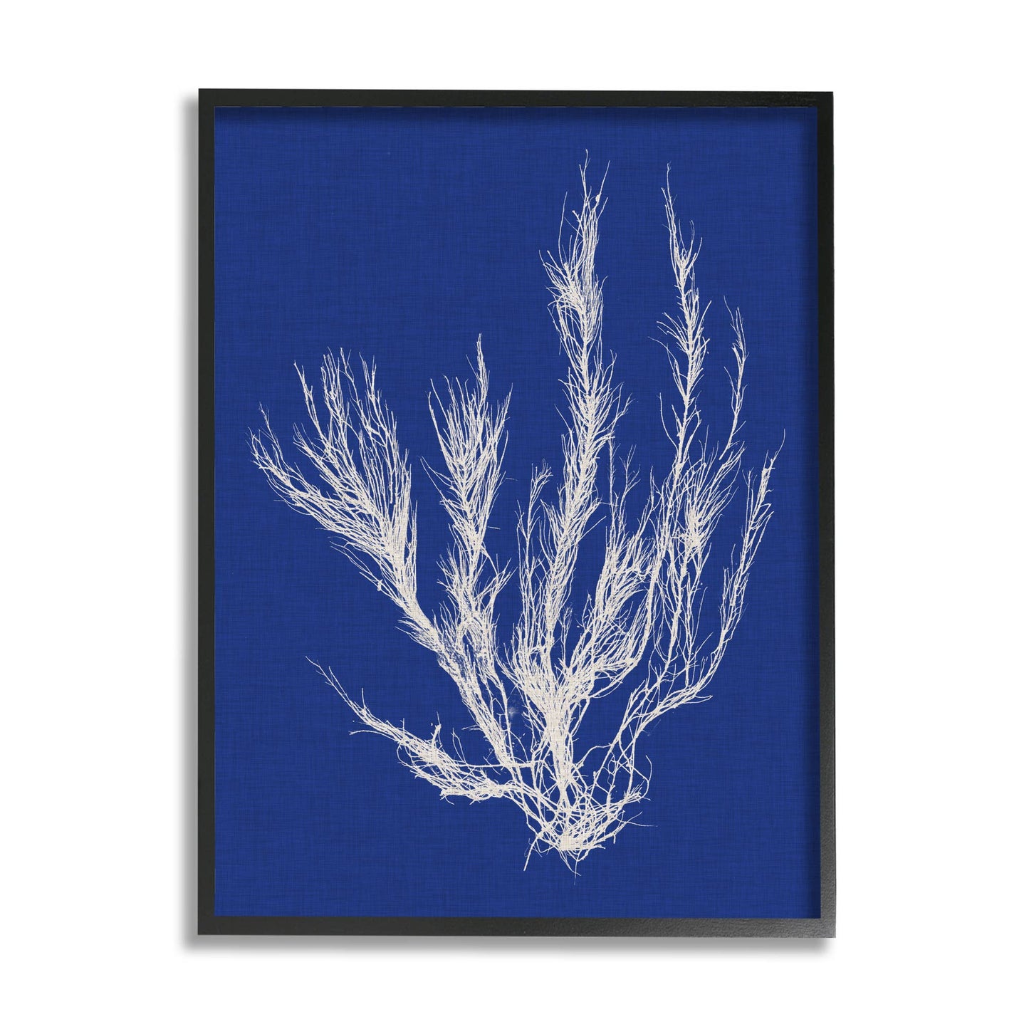 Coral Seaweed Blue White Beach Design Framed: Gray Framed