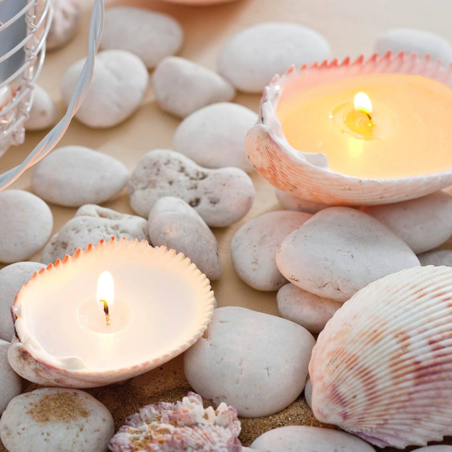 Shell Tea Candle