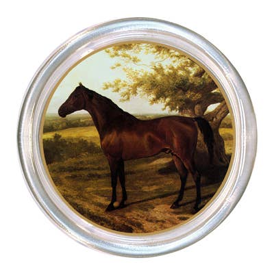 C220-Bay Horse Facing Left Coaster