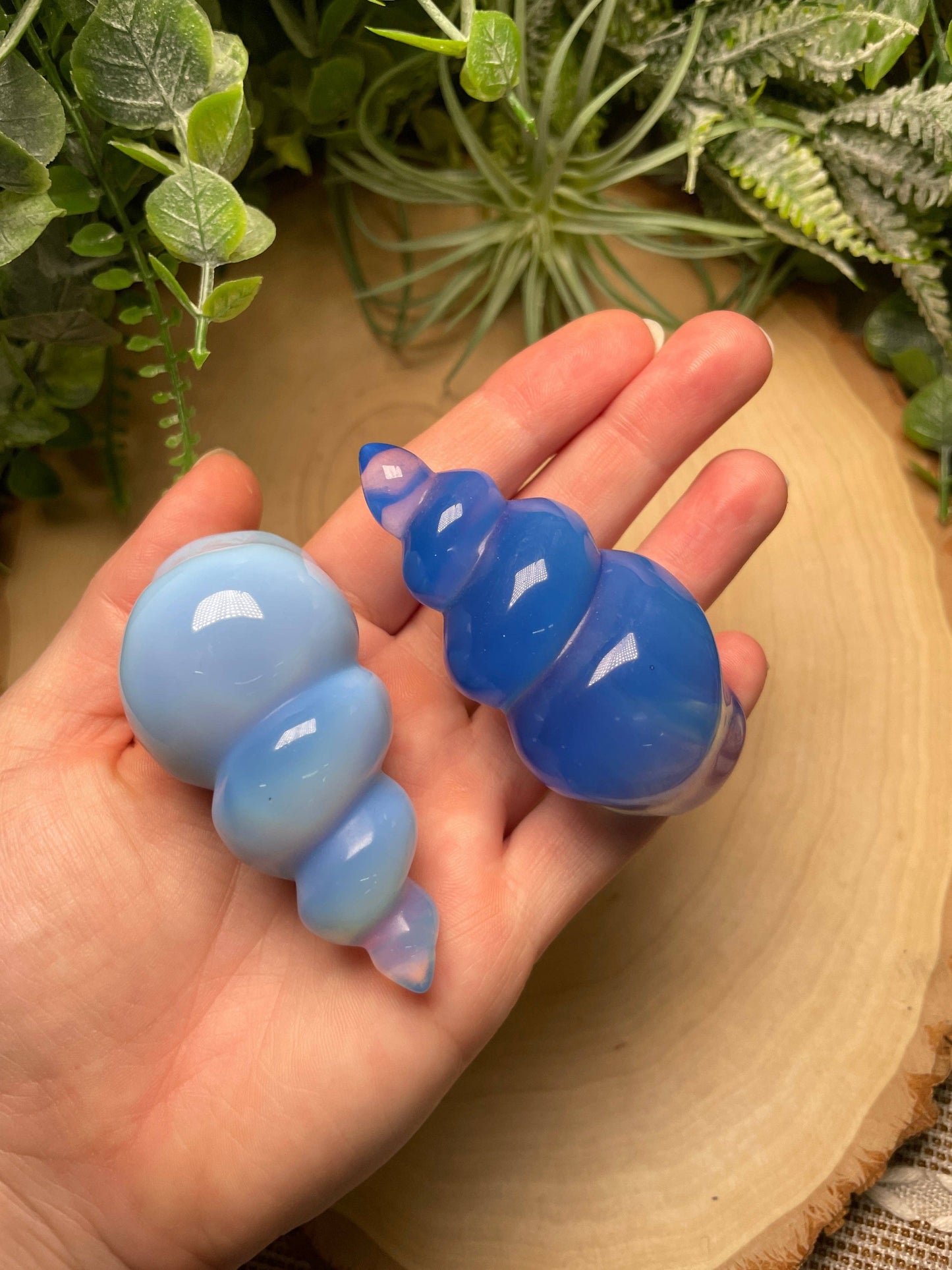 Blue Opalite Shell: Light Blue