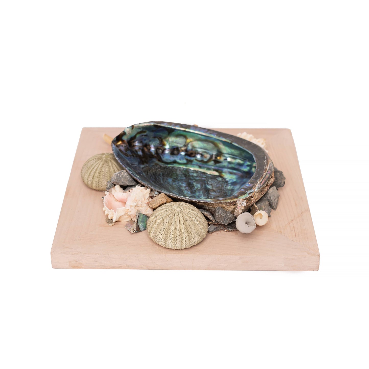 Abalone Shell Decor, Ocean Decor, Decorative Beach Decor - O