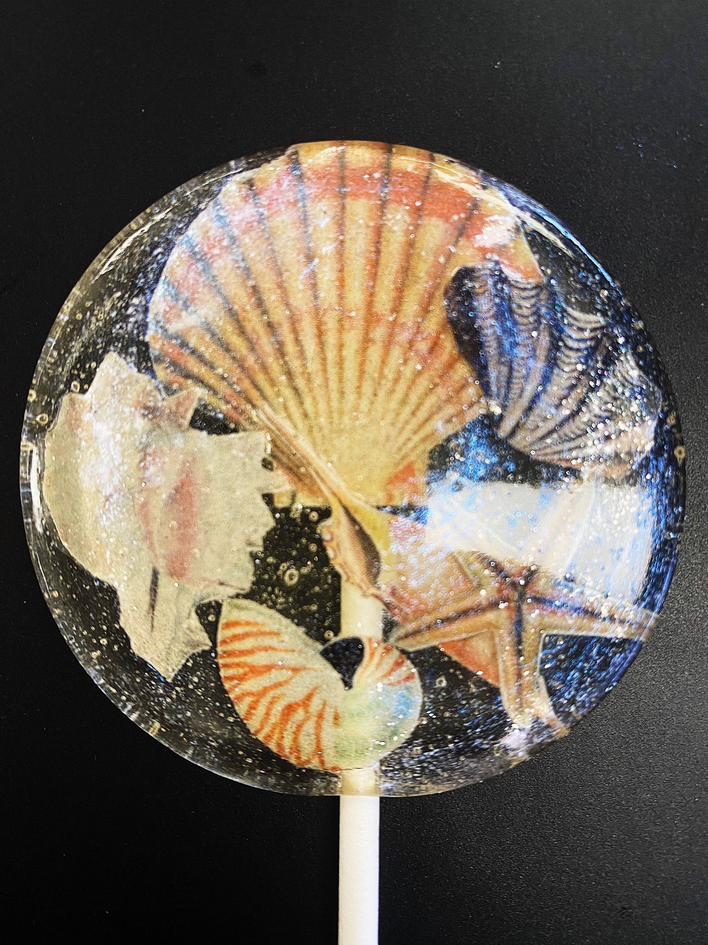 Summer Seashell Lollipops