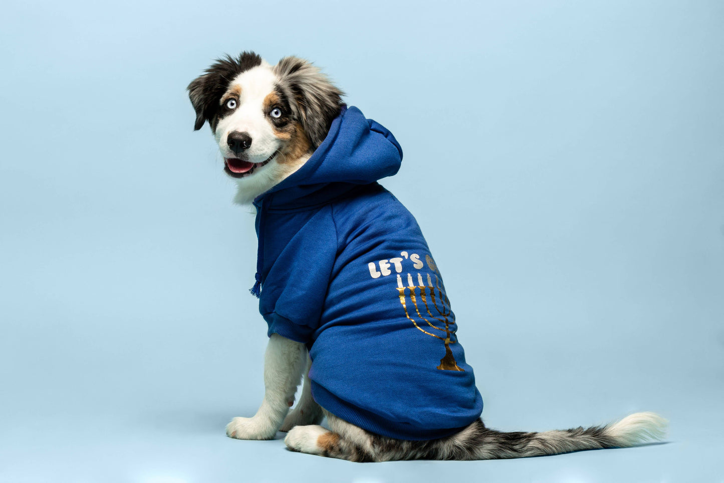 Let's Get LIT Hanukkah Dog Hoodie: 10