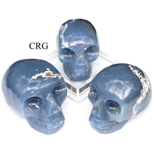 1 PIECE - Peru Angelite Skull (45 - 55 MM) AVG