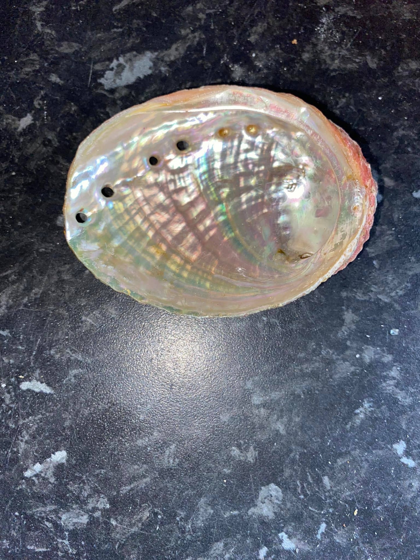 Abalone smudging bowl