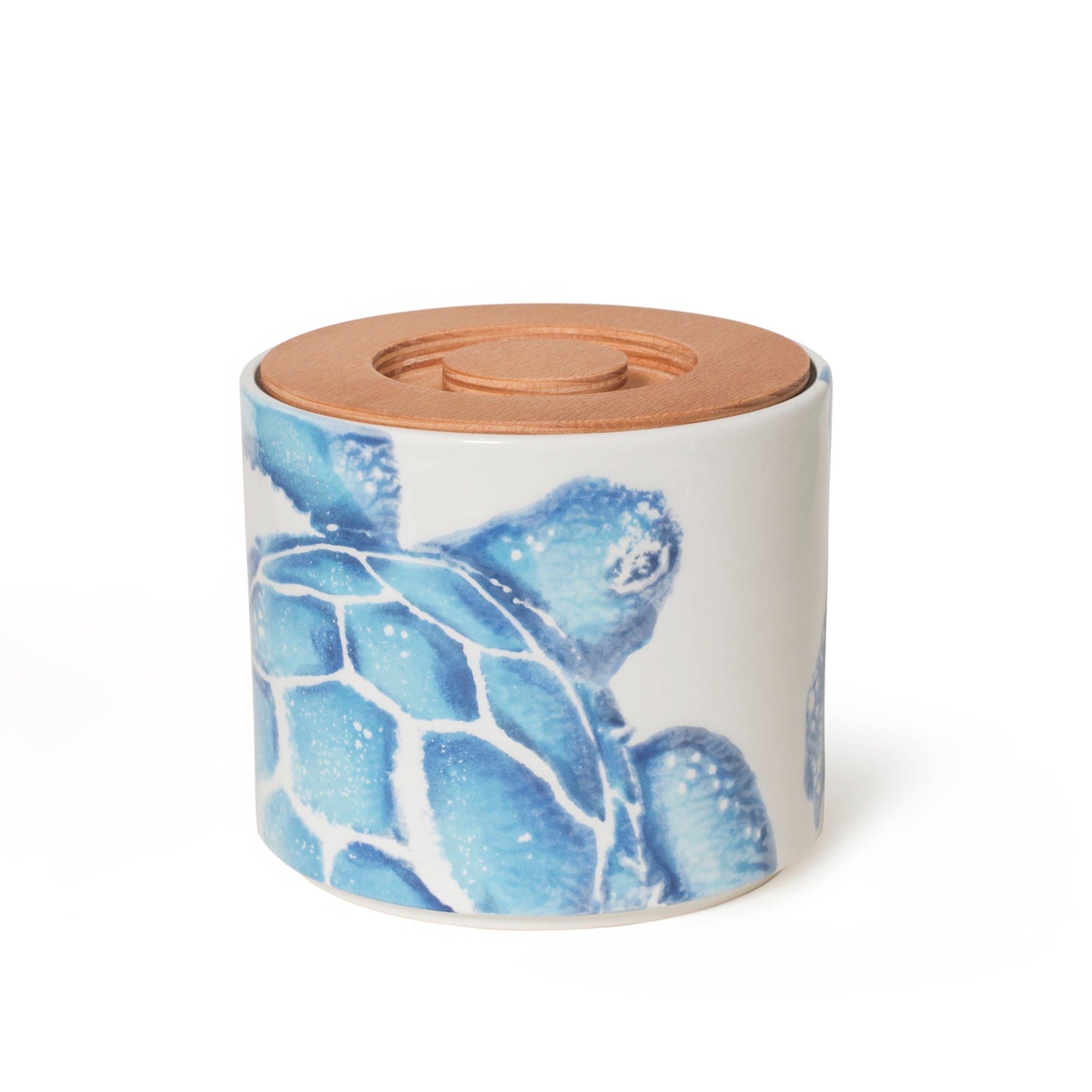 CREATURES STORAGE JAR TURTLE