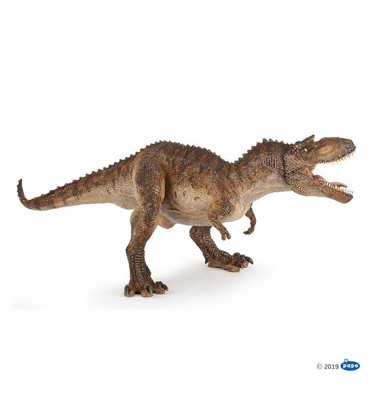 Gorgosaurus