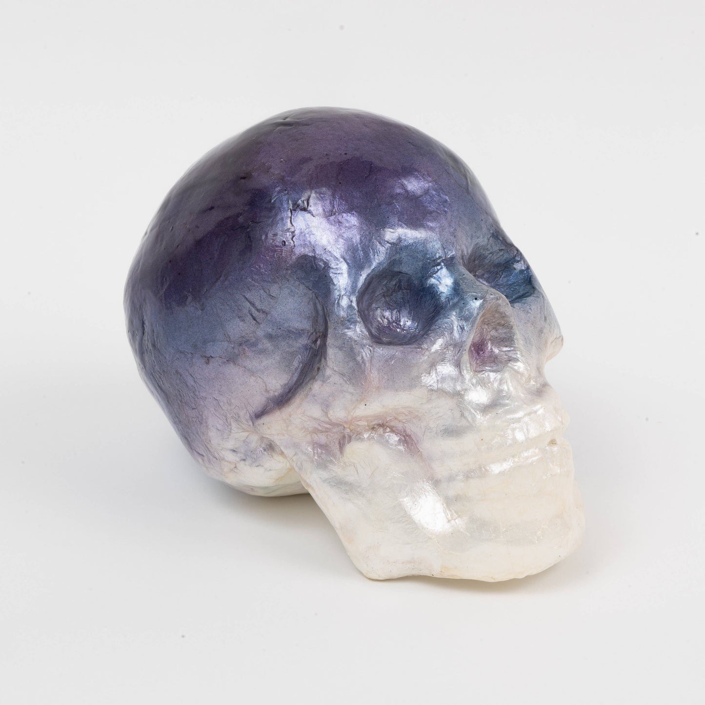 Capiz Skull - Blue Ombre