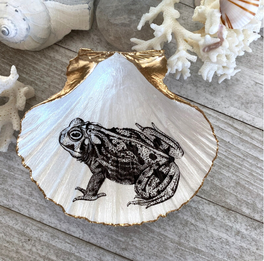 Scallop Shell Frog Art Trinket/Ring Holder Dish