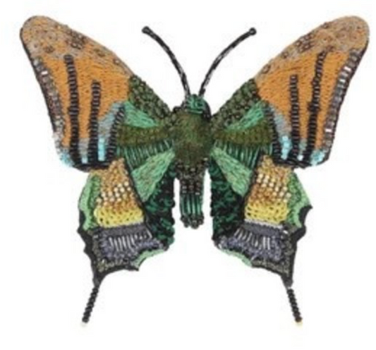 Emperor of India Butterfly brooch pin