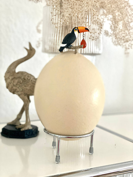 Toucan Meets Ostrich Egg "Teardrop"