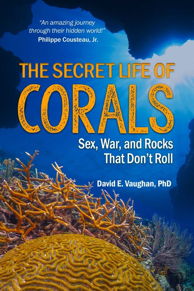 The Secret Life of Corals