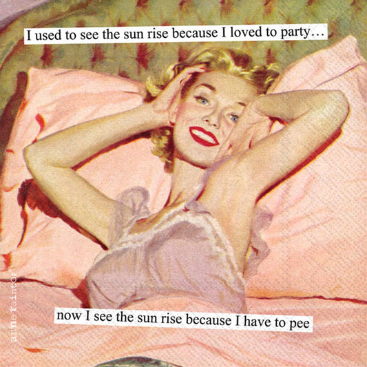 Anne Taintor Paper Cocktail Napkins Pack of 20 Sun Rise